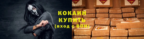 PSILOCYBIN Суровикино