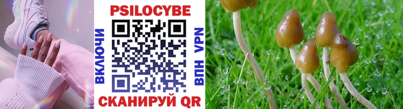как найти закладки Константиновск Галлюциногенные грибы MAGIC MUSHROOMS